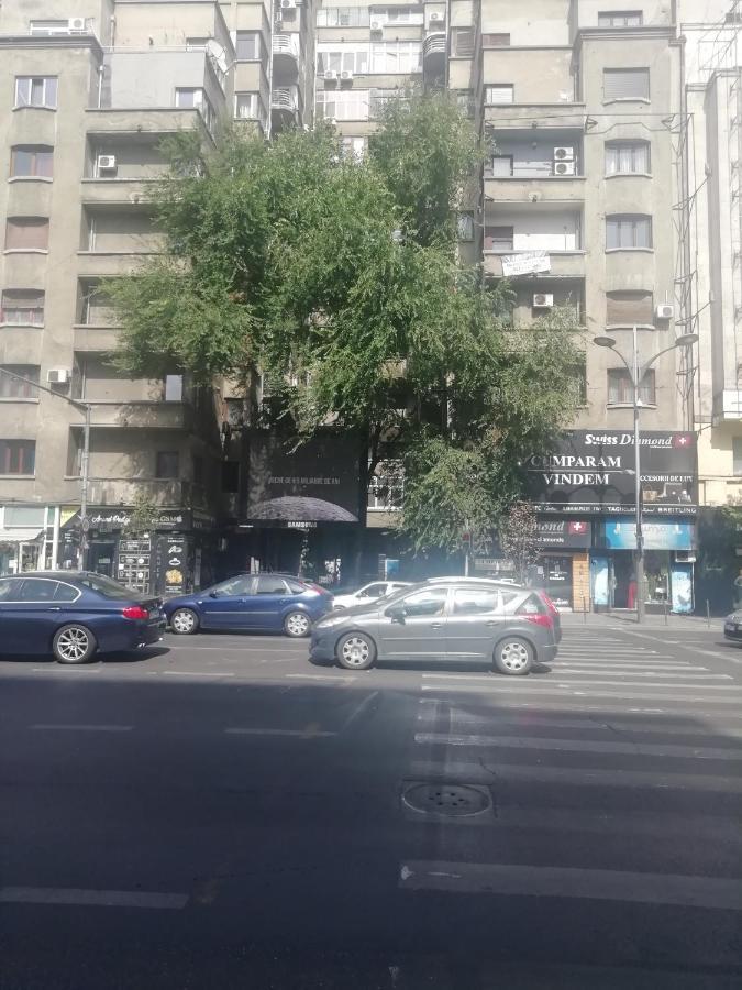 Studio Ultracentral Universitatea Bukarest Exterior foto